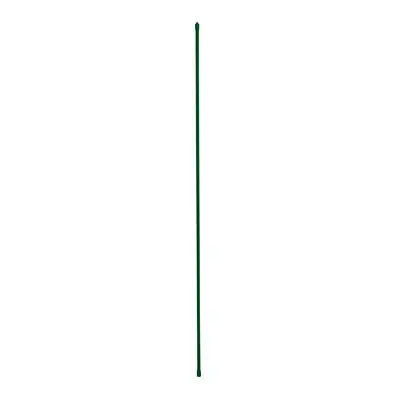 Sturdy Plant Stake, Plastic-coated Steel, 2-ft.