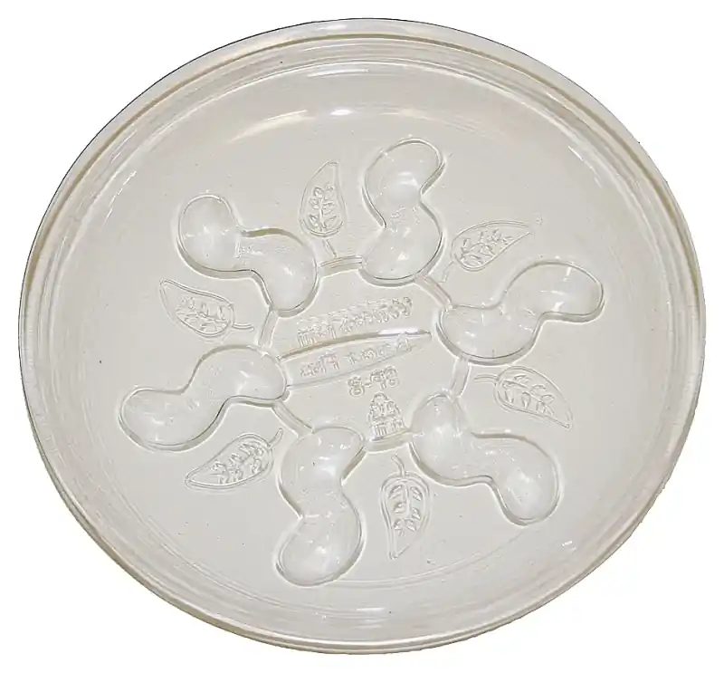 Plant Saucer Plus, 14 In.