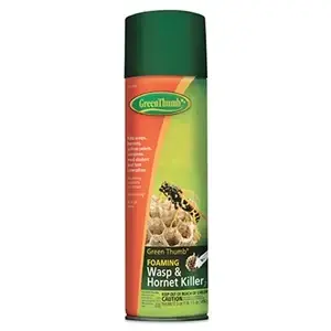 17.5-ounce Foaming Wasp And Hornet Spray - Effective Insect Control
