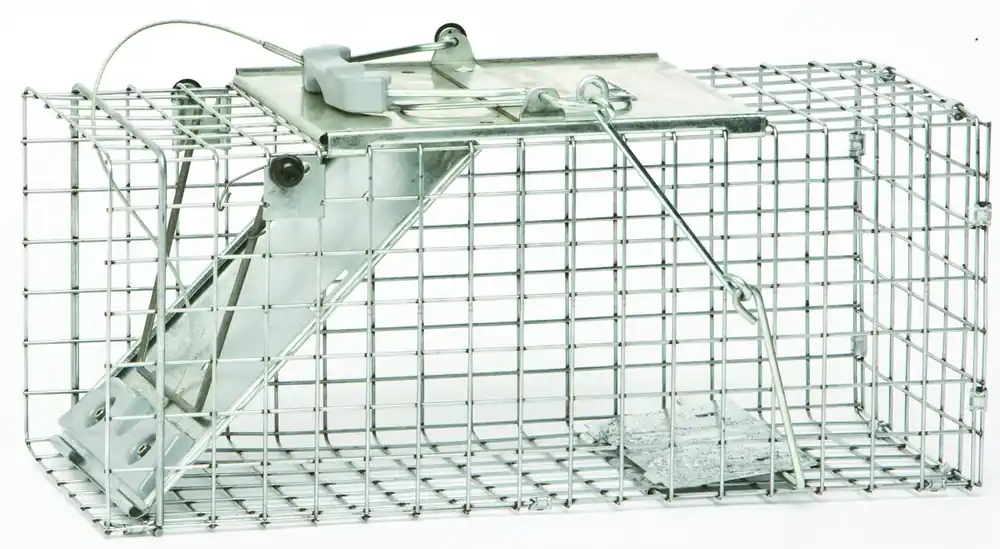 Easy Set Small Animal Care Trap, 17 X 7 X 7 In.