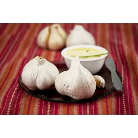Elephant Garlic Bulbs - Healthy & Heart Smart - 2 Cloves For Planting
