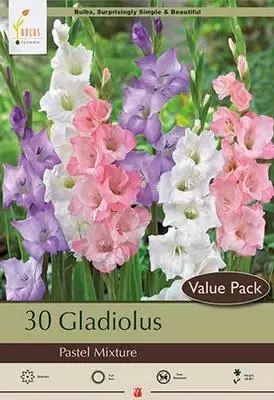 Gladiolus Large Flowering ‘pastel Mixture‘ Bulbs - 48-60 Inches Tall, Summer Blooms