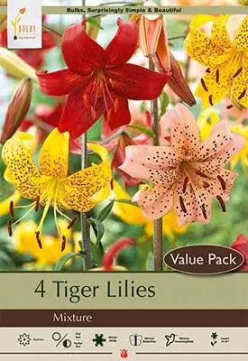 Tiger Lilies Mixture - Lilium Tigrinum - 36-40 Inches Tall