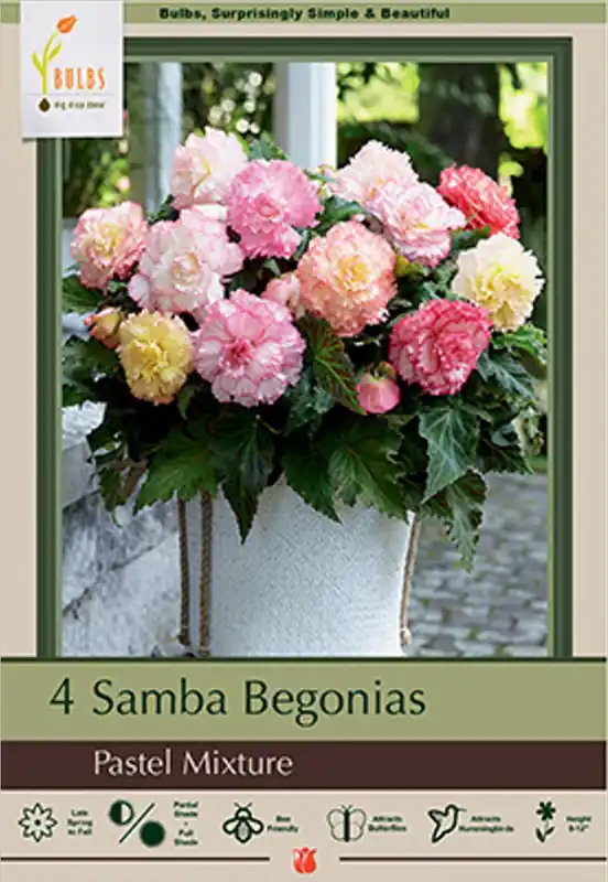 Samba Pastel Mixture Flower Seeds - Vibrant Colors For Your Garden