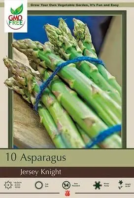 Jersey Knight Asparagus Bulbs - Vigorous All Male Variety, 24-36 Inches Tall