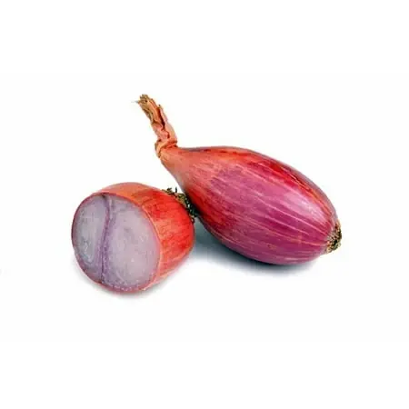 Red Shallots - Chef‘s Choice - 15 Bulbs 9/15 Cm Size