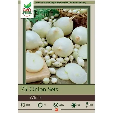 Onion Sets - 75 Bulbs - 14/21mm Bulbs For Planting