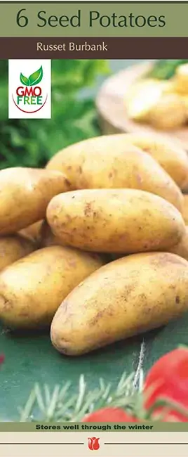 Bulb Boxed Seed Potatoes - Russet Burbank Certified Seed Tubers