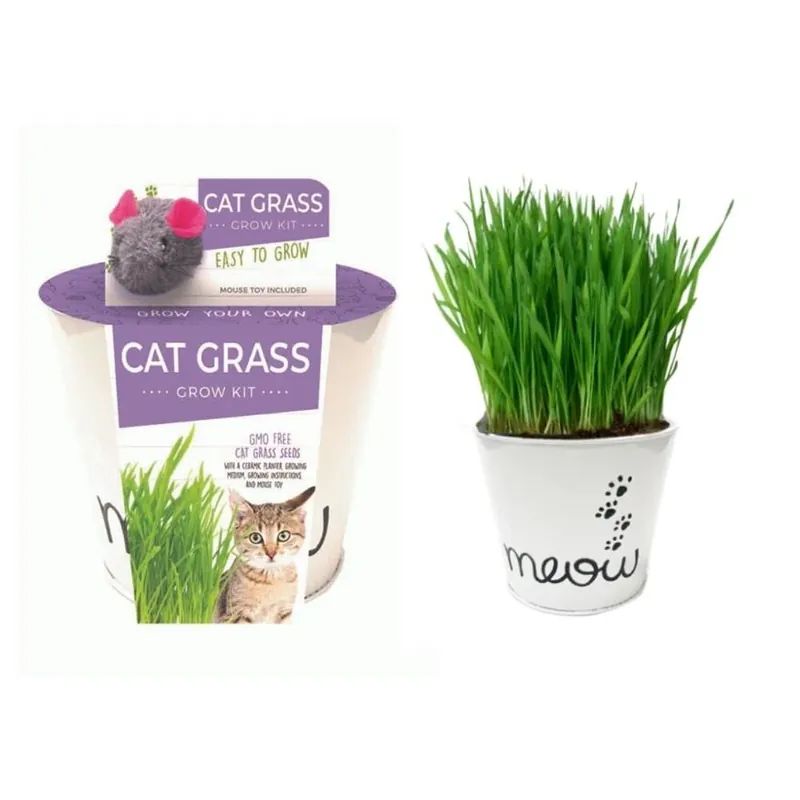 Catnip And Cat Grass Grow Kit For Indoor And Outdoor Gardening
