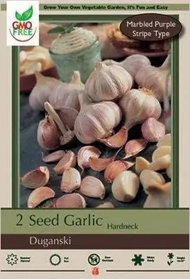 Hard-neck Garlic Bulbs - 2 Pack