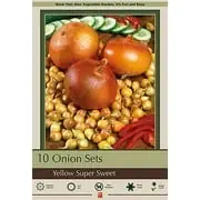 Yellow Super Sweet Onion Set - 10 Bulbs - Top Size For Home Gardening