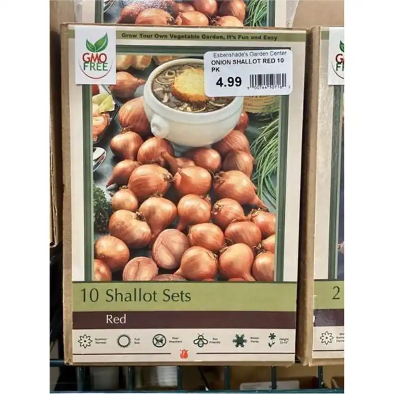 Shallots Red