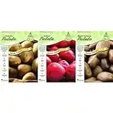 Po100 Potato Plant Seed Package - Ideal For Home Gardening