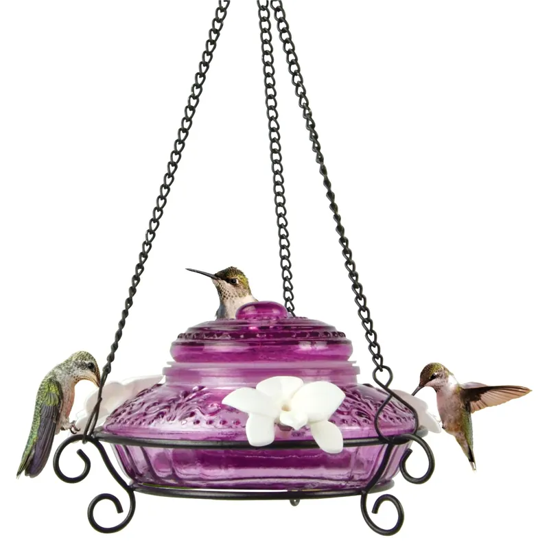 Antique Glass Hummingbird Feeder 14 Ounce Capacity With Decorative Design