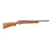 10/22 Carbine Semi-automatic Rifle With 18 In. Barrel And Hardwood Stock