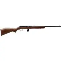 64 G Semi-automatic Rifle - .22lr Caliber, 20.5" Barrel, 10+1 Capacity