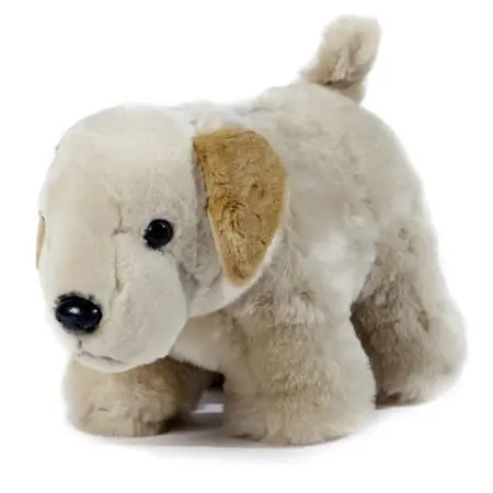 Plush Yellow Lab Dog Coin Bank - Adorable And Functional