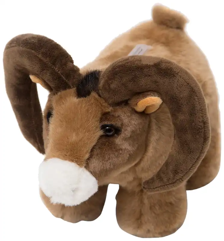 Bighorn Sheep Coin Bank