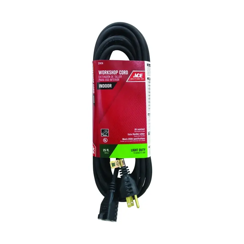 Indoor 25 Ft. L Black Extension Cord 16/3 Sjo For General Use