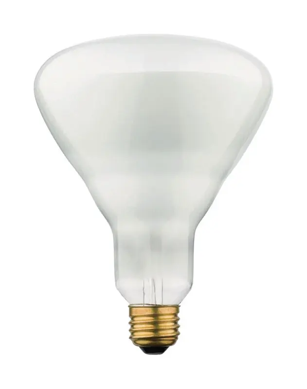 65 W Br40 Floodlight Incandescent Bulb E26 (medium) Soft White 6 Pk