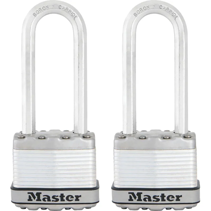 Magnum 1-9/16 In. H X 11/16 In. W X 1-3/4 In. L Steel Dual Ball Bearing Locking Weather-