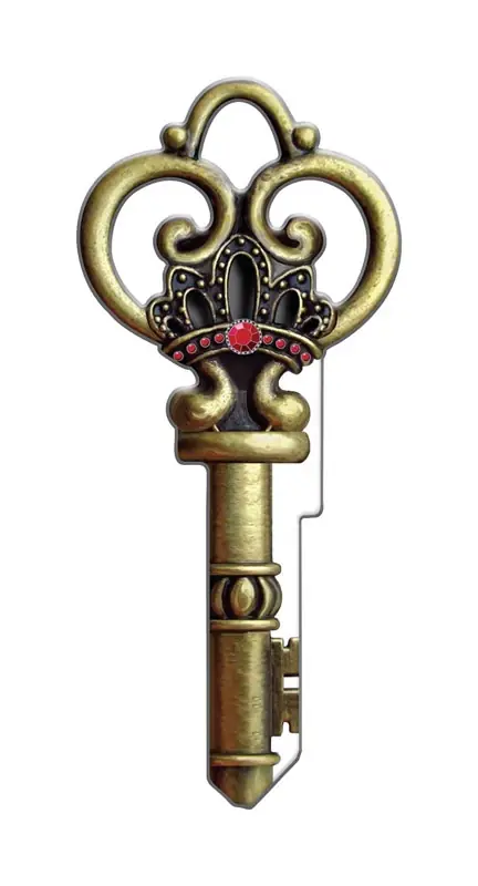 Skeleton House Key Blank Single Multicolored