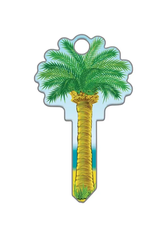Palm Tree House Key Blank Double Multicolored
