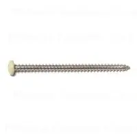 10 X 3 Inch Phillips Pan Sheet Metal Screws Stainless Steel 18-8 - 12 Count