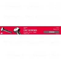 Class 10.9 Hex Cap Screws Assortment - Durable Steel Fasteners For Various Applications