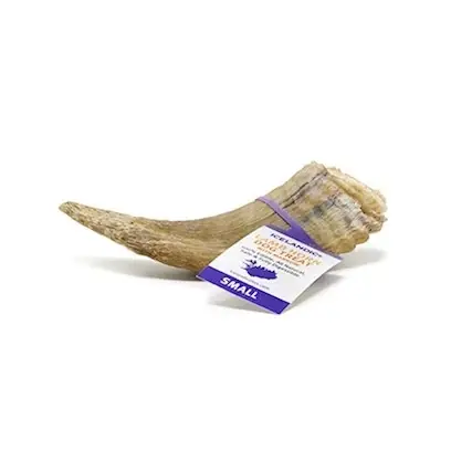 Icelandic Small Lamb Horn With Marrow Dog Treat Single