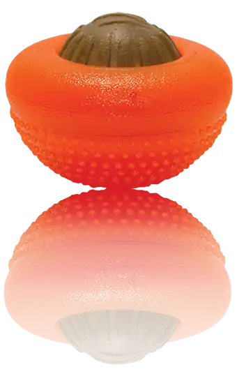 Everlasting Bento Ball With Dental Treat, Large, Orange