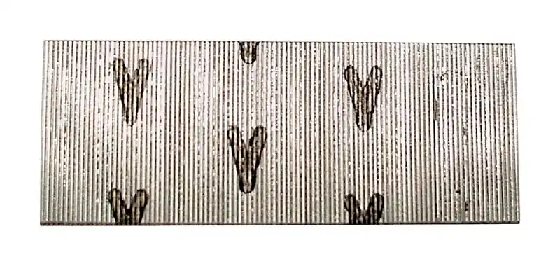 1 In. L X 23 Ga. Straight Strip Galvanized Micro Pins 2,600 Pk