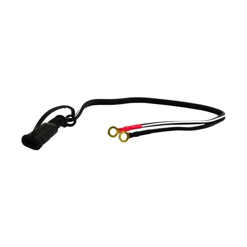 Wm-12 Manual 12 Volt 5 Amp Battery Charger Ring Terminal Harness