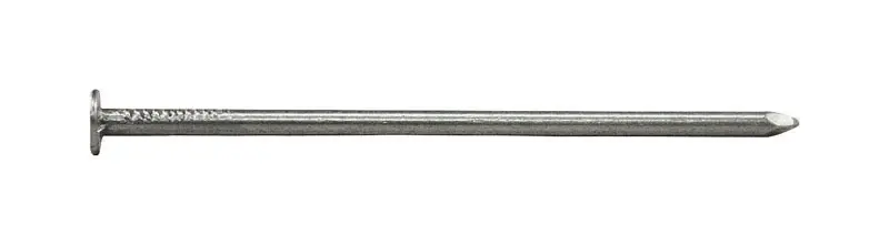 2-1/2 In. 31 Box Bright Steel Nail Flat 1 Lb