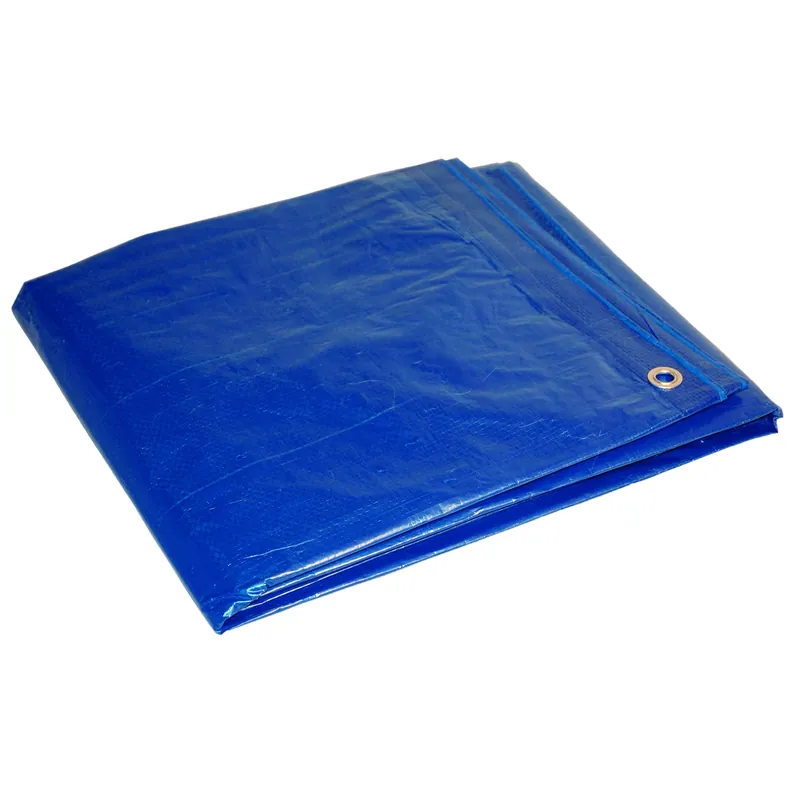 Dry Top 6 Ft. W X 8 Ft. L Medium Duty Polyethylene Tarp Blue