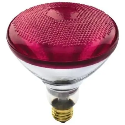 Flood Light Bulb, Red, 100-watts