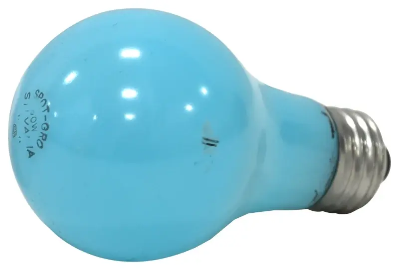 60-watt Dimmable Soft White A19 Incandescent Grow Light Bulb
