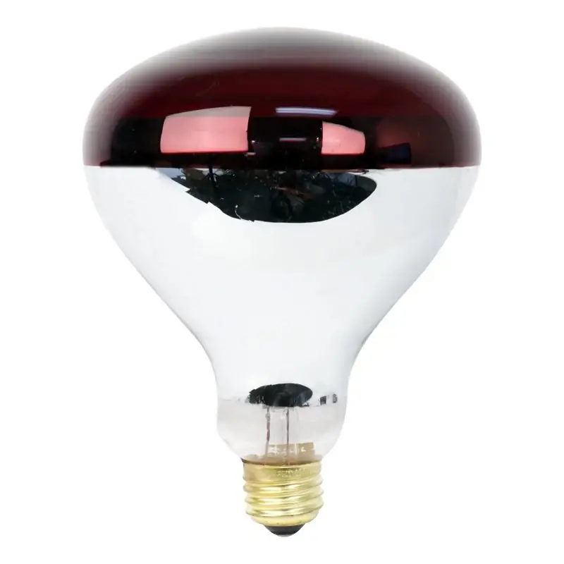 R40 250-watt 120-volt Incandescent Red Heat Lamp Light Bulb