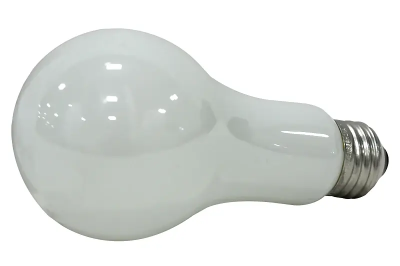 200-watt A21 Soft White Incandescent Light Bulb - Model 10599