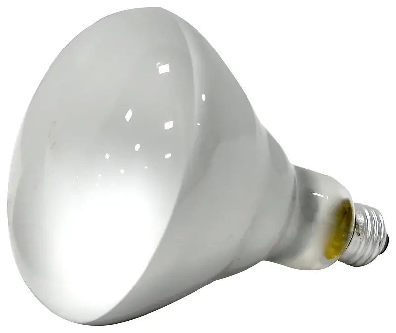 125-watt Br40 Incandescent Heat Lamp, 6.5 In Length, 5 In Diameter, 4000 Hour Life