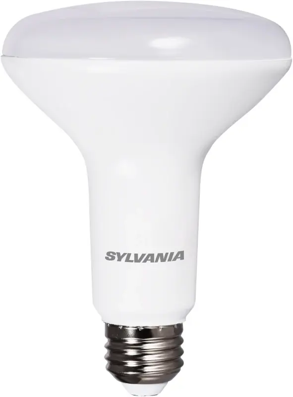 40832 Natural Led Spotlight Bulb, 65 Watt Equivalent, Dimmable Br30 Lamp
