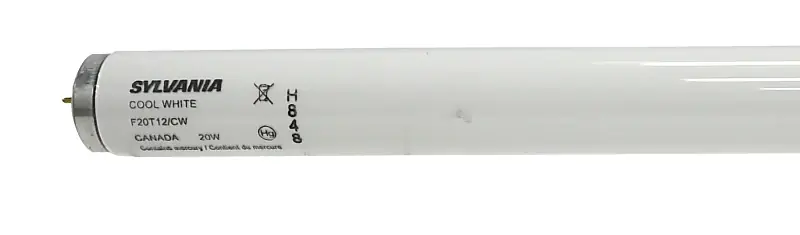 Lighting F20t12cw-24 24 In. Bu Lb Fluor Cool White - 20w