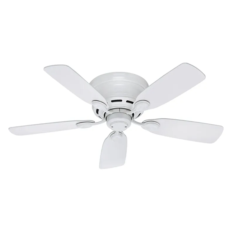 Low Profile Iv 42 In. White Indoor Ceiling Fan With 5 Blades