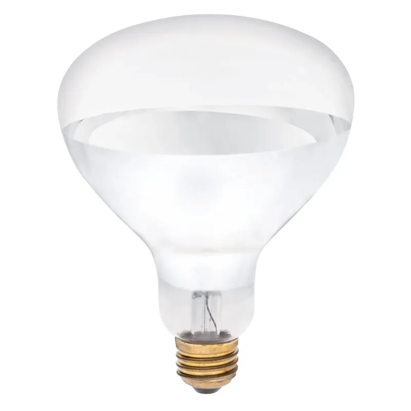 250 W R40 Reflector Incandescent Bulb E26 (medium) White 1 Pk