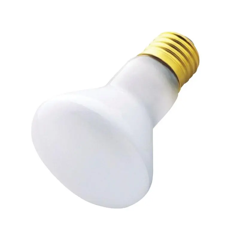 30 W R20 Spotlight Incandescent Bulb E26 (medium) White 1 Pk