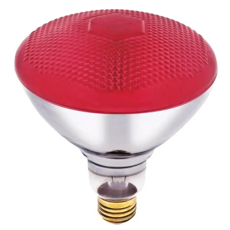 100 W E26 Reflector Incandescent Bulb E26 (medium) Red 1 Pk