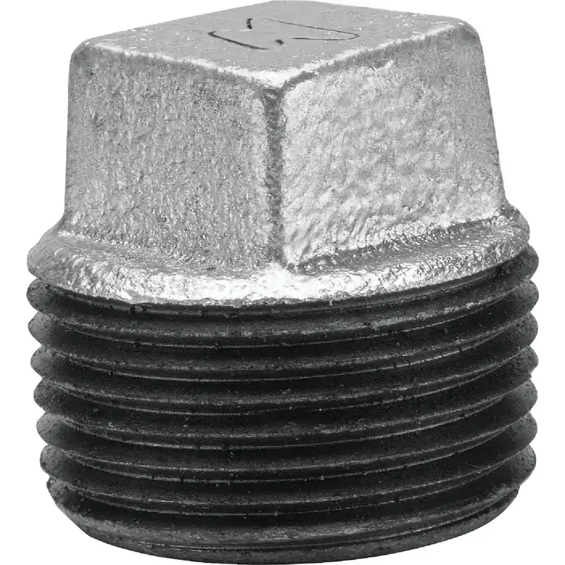 Galvanized Pipe Plug, 2 In.