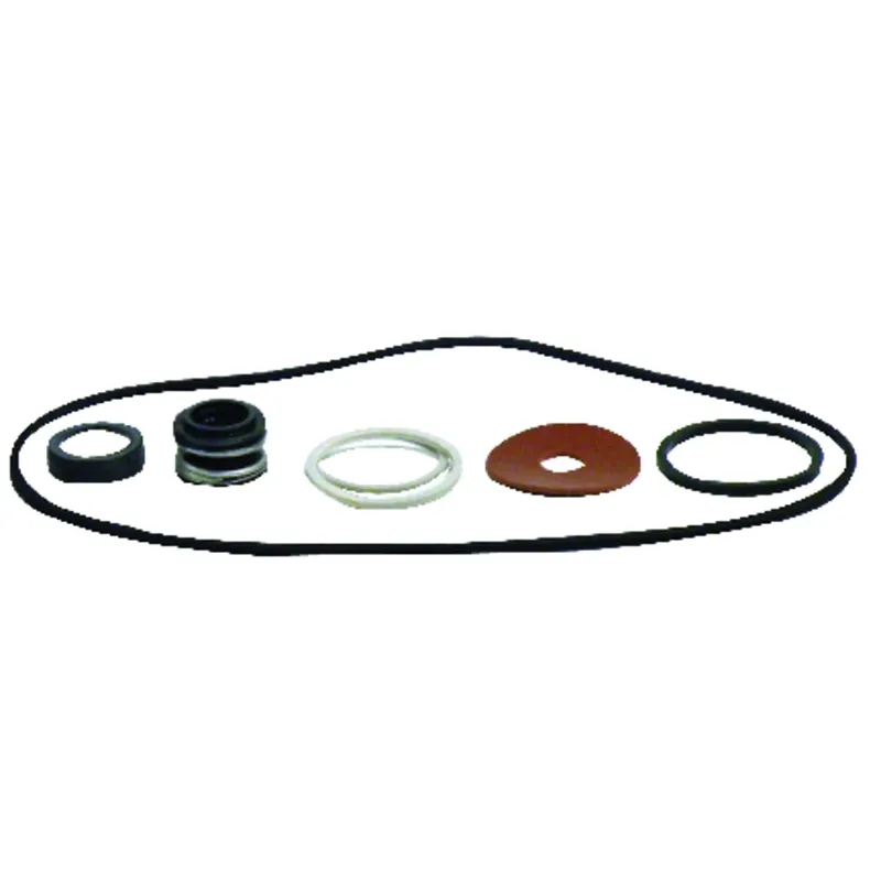 Seal & Gasket Kit For Esp Series Pumps, Model Rpk-lss, 0 In. X 6.625 In.