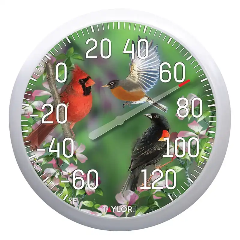Birds Outdoor Thermometer, 13-in.