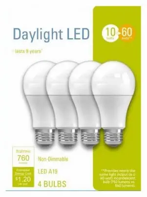Led Light Bulbs, A19, Daylight, 760 Lumens, 10 Watt, 4-pk.